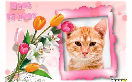 Moldura - Lembrancinha De 15 Anos