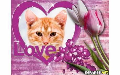 Moldura - Tulipas Com Amor