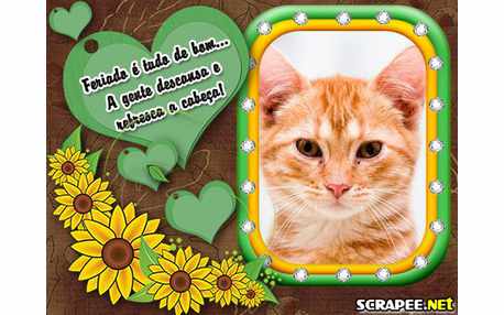 Moldura - Feriado Prolongado