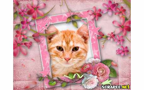 Moldura - Petalas Voando