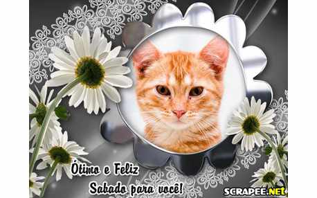 Moldura - Margaridas Sabado