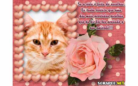 Moldura - Escolha Certa