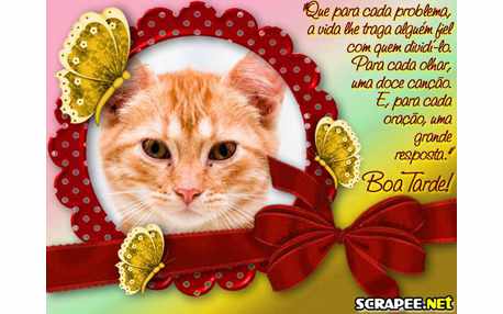 Moldura - Boa Tarde Borboletas