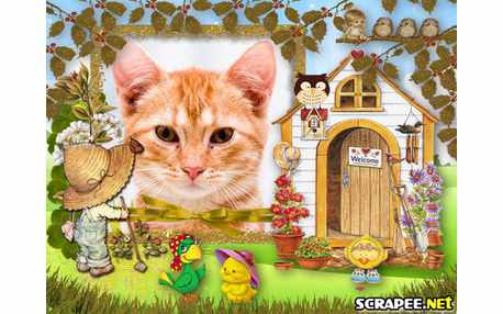 Moldura - Fazendinha