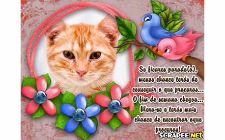 Moldura - Mexa Se E Fim De Semana