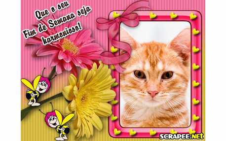 Moldura - Fim De Semana Harmonioso