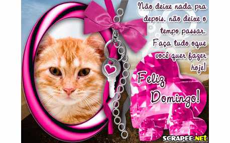 Moldura - Viva O Seu Dia De Domingo