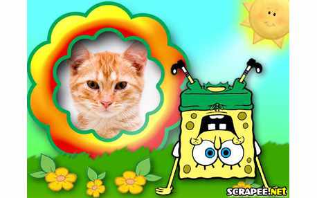 Moldura - Moldura Do Bob Esponja