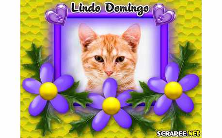 Moldura - Lindo Domingo