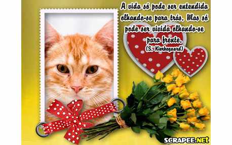 Moldura - Olhando Para Frente