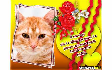 Moldura - Esperanca Nao Morre