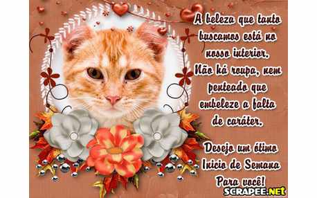 Moldura - Carater E A Maior Beleza