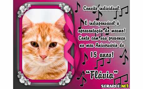 Moldura - Flavia 15 Anos