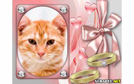 Moldura - Aliancas De Casamento