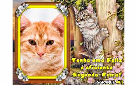 Moldura - Eficiente Segunda Feira