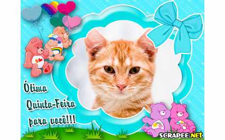 Moldura - Quinta Feira   Ursinhos Carinhosos