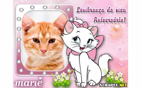 Moldura - Lembranca De Aniversario Da Marie