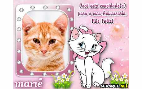 Moldura - Convite De Aniversario Da Marie