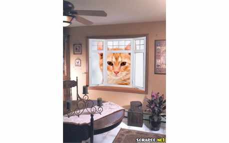 Moldura - Montagem De Foto Na Janela