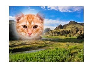 Moldura - Oregon Landscape