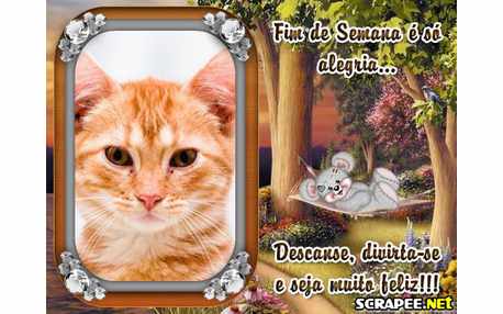 Moldura - Balanco Na Floresta   Fim De Semana