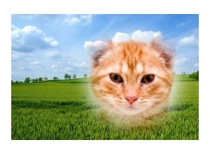 Moldura - Simple Landscape