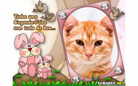 Moldura - Coelhinhos   Segunda Feira