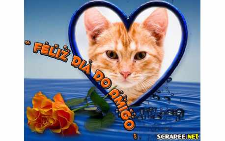 Moldura - Feliz Dia Do Amigo