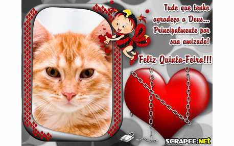 Moldura - Gratidao Pelas Amizades   Quinta Feira