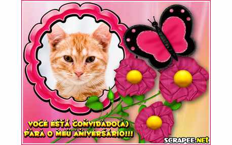 Moldura - Convite De Aniversario Feminino