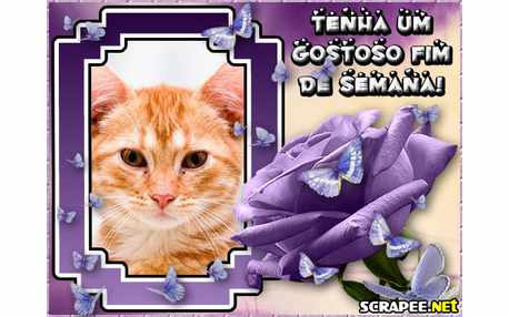 Moldura - Borboletas Na Flor 