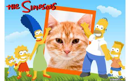 Moldura - Os Simpsons