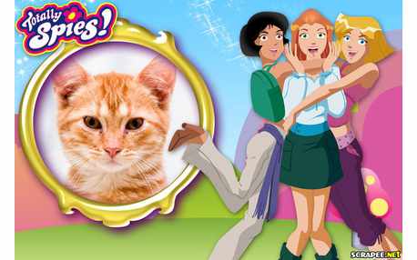 Moldura - Tres Espias Demais