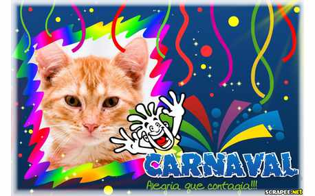 Moldura - Carnaval 2012