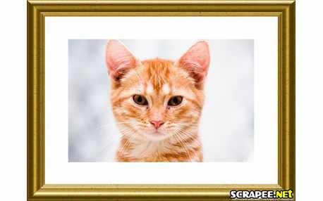 Moldura - Moldura De Porta Retrato