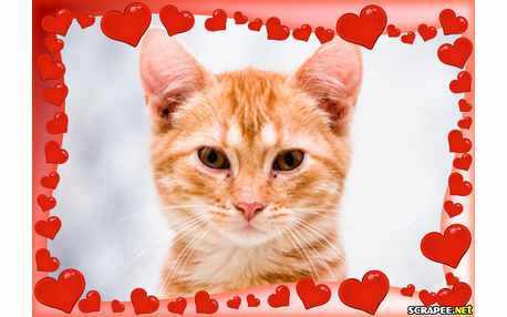 Moldura - Borda De Coracoes