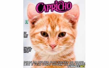 Moldura - Montagem Da Revista Capricho