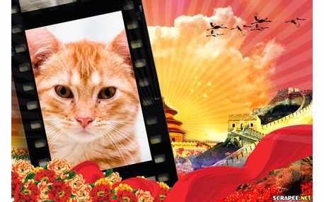 Moldura - Hotel Japones