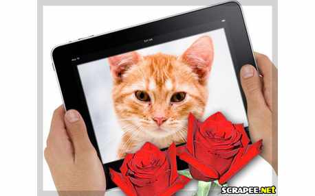 Moldura - Ipad Com Flores