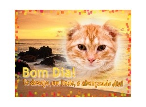 Moldura - Good Morning Portuguese