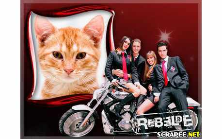 Moldura - Rebelde
