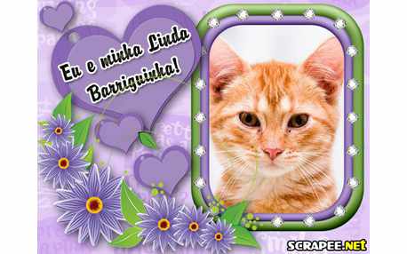 Moldura - Barriga De Gravida