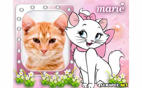 Moldura - Gatinha Marie Do Aristogatas