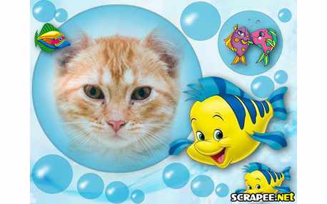 Moldura - Bolha Dagua E Peixinhos