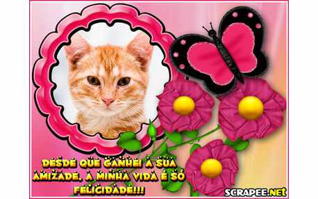 Moldura - Amizade So Traz Felicidade