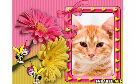 Moldura - Abelhas Nas Flores