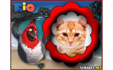 Moldura - Passaro Cardeal Pedro Do Filme Rio