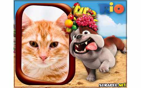 Moldura - Bulldog Luiz Do Filme Rio