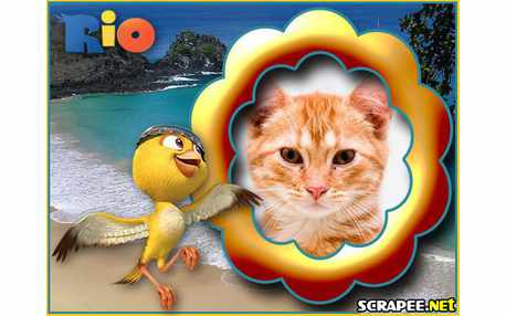 Moldura - Canario Nico Do Filme Rio