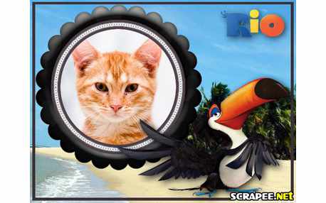 Moldura - Tucano Rafael Do Filme Rio